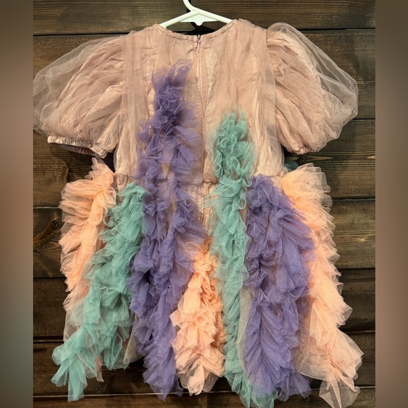 Raspberry Plum Girls fancy tulle ruffle frock dress - Picture 2 of 3